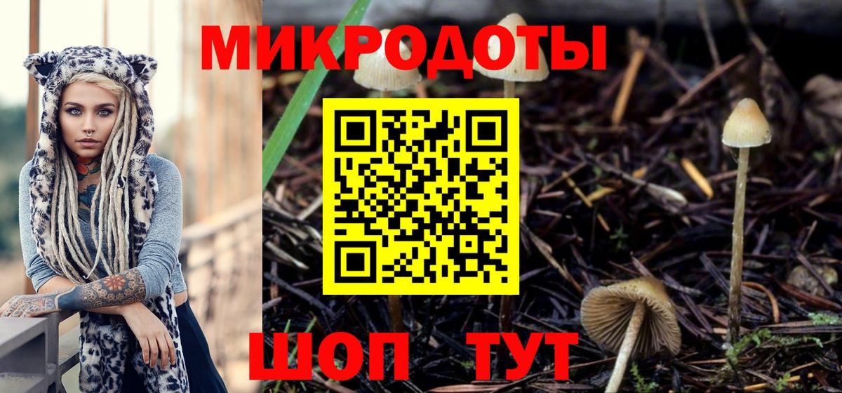 где продают   Вход с VPN  Сибай  Галлюциногенные грибы мицелий  Псилоцибиновые грибы Magic Shrooms 