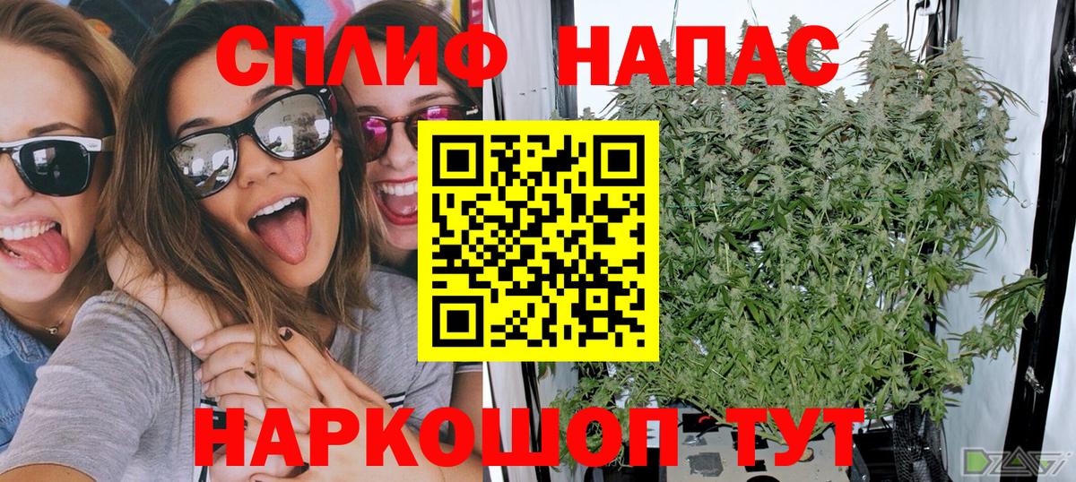 Бошки Шишки SATIVA & INDICA  Каннабис планчик  Сибай  Вход с VPN 